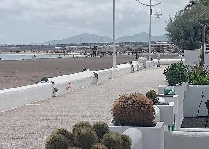 Sol Y Terraza